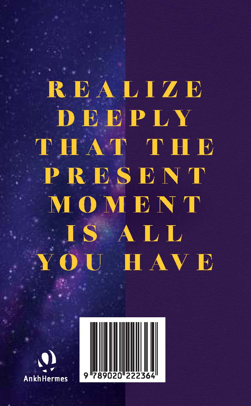 De kracht van het nu in de praktijk (Paperback) De kracht van het nu in de praktijk (Paperback)