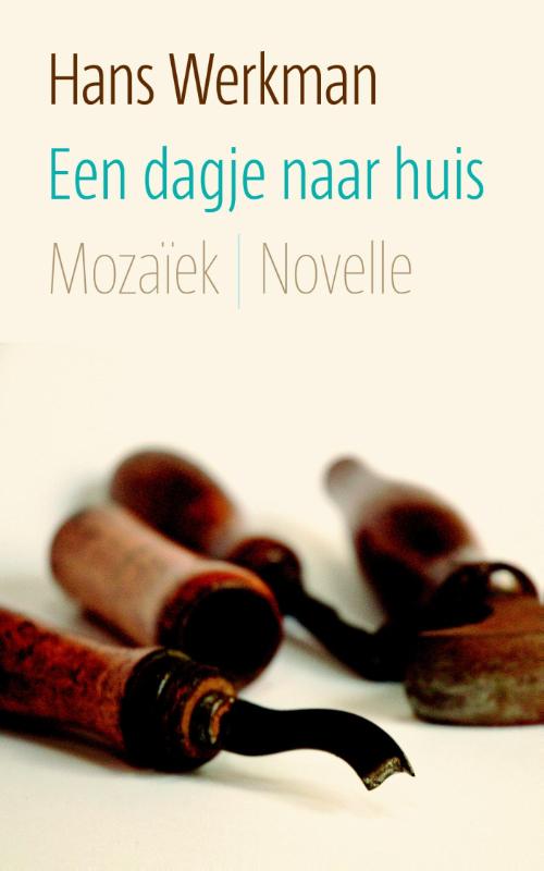 Een dagje naar huis (E-book) Een dagje naar huis (E-book)