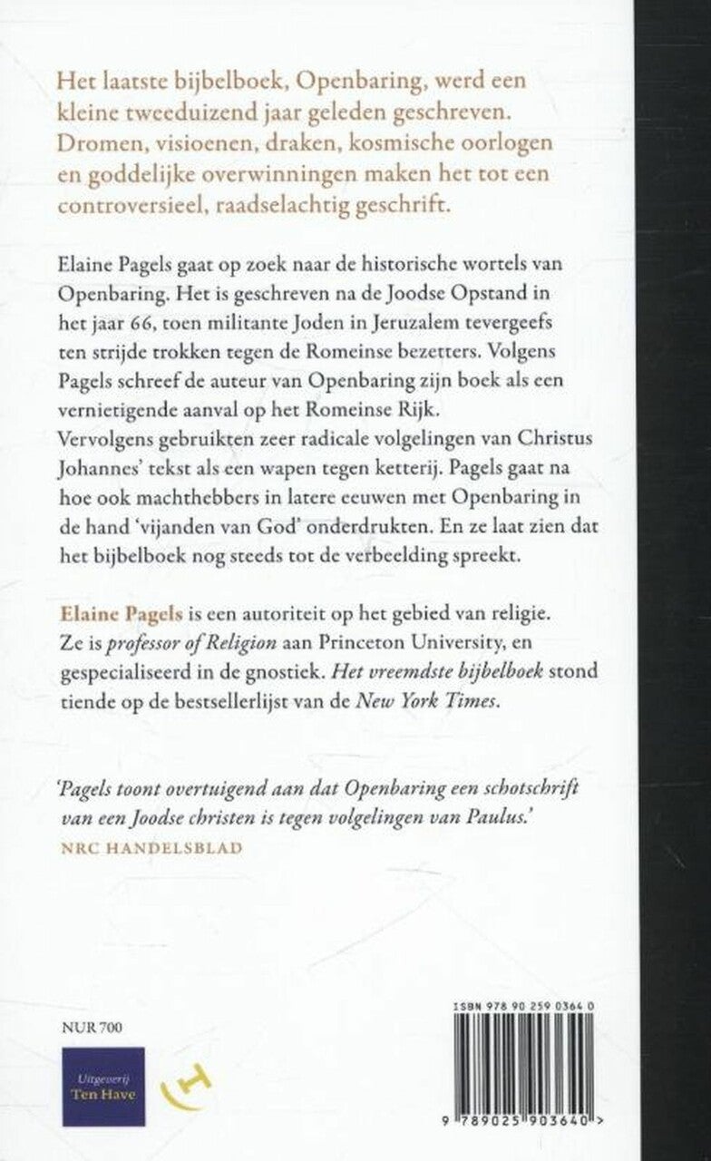 Het vreemdste Bijbelboek (E-book) Het vreemdste Bijbelboek (E-book)