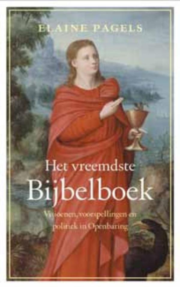 Het vreemdste Bijbelboek (E-book) Het vreemdste Bijbelboek (E-book)