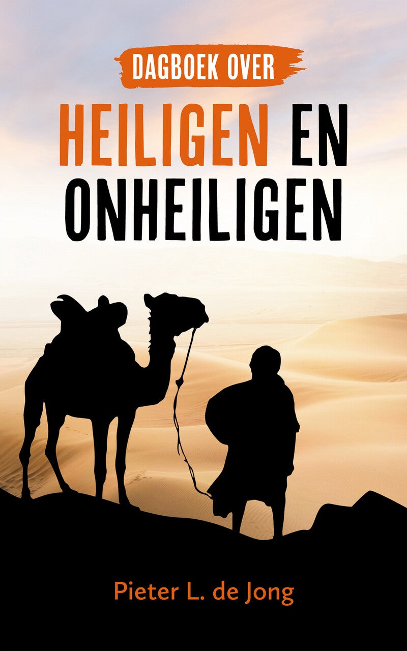 Dagboek over heiligen en onheiligen (Paperback) Dagboek over heiligen en onheiligen (Paperback)