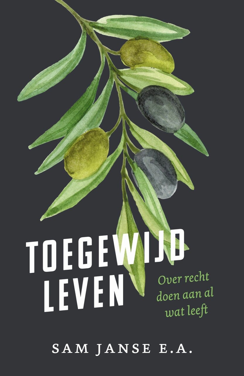 Toegewijd leven (E-book) Toegewijd leven (E-book)
