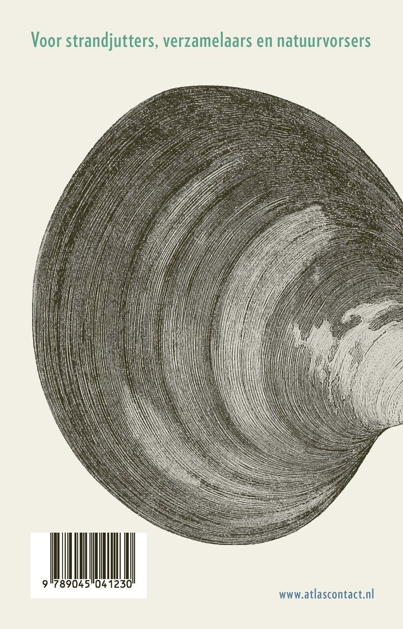 Noordkrompen, zeeengelen en koffieboontjes (Paperback) Noordkrompen, zeeengelen en koffieboontjes (Paperback)